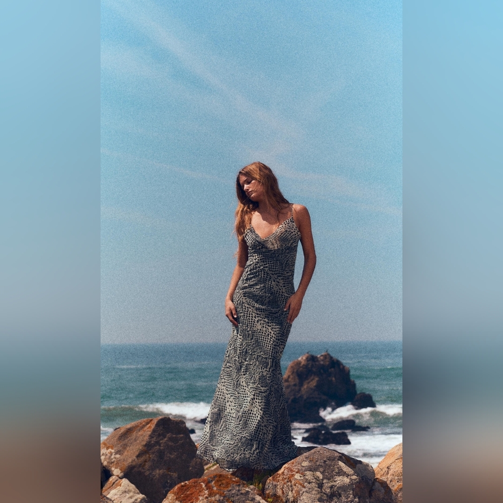 ZARA LONG ANIMAL PRINT DRESS